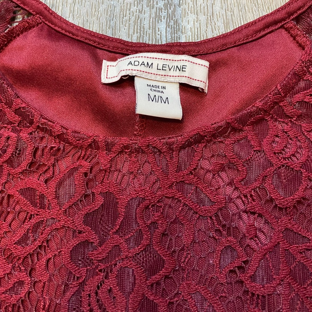 Adam Levine Burgundy Lace Short Sleeve Skater Mini Dress Size Medium - Picture 2 of 7